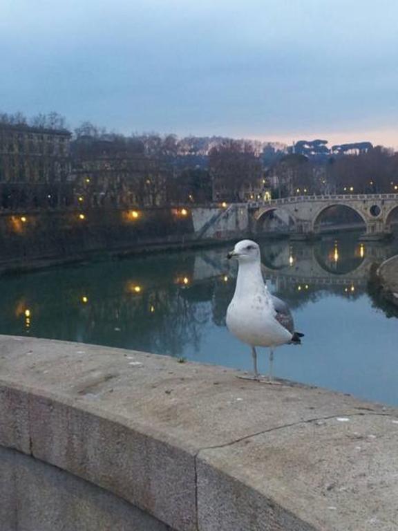 Welcome To Rome B&B 외부 사진